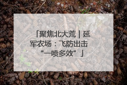 聚焦北大荒｜延军农场：飞防出击 “一喷多效”