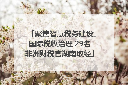 聚焦智慧税务建设、国际税收治理 29名非洲财税官湖南取经