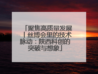 聚焦高质量发展丨丝博会里的技术脉动：陕西科创的突破与想象
