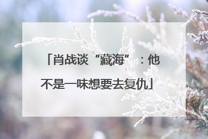 肖战谈“藏海”：他不是一味想要去复仇