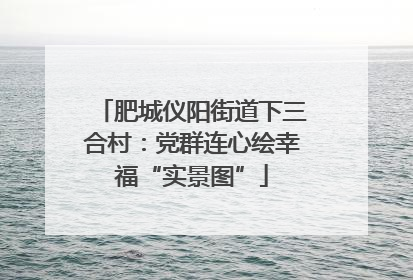 肥城仪阳街道下三合村：党群连心绘幸福“实景图”