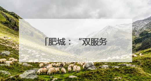 肥城：“双服务圈”让城市治理有力度更有温度