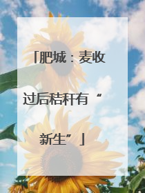 肥城：麦收过后秸秆有“新生”