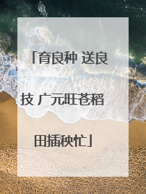 育良种 送良技 广元旺苍稻田插秧忙