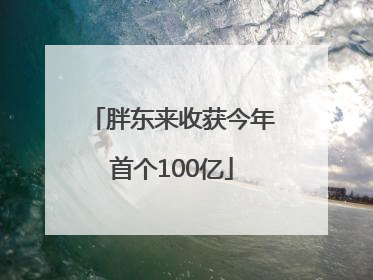 胖东来收获今年首个100亿