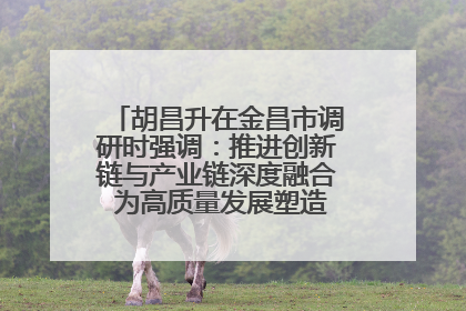 胡昌升在金昌市调研时强调：推进创新链与产业链深度融合 为高质量发展塑造新动能新优势