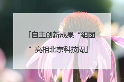 自主创新成果“组团”亮相北京科技周
