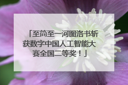 至简至一河图洛书斩获数字中国人工智能大赛全国二等奖！