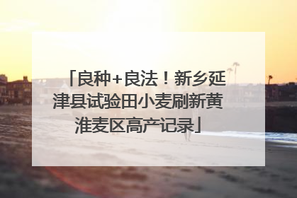 良种+良法！新乡延津县试验田小麦刷新黄淮麦区高产记录