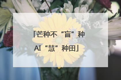 芒种不“盲”种 AI“慧”种田