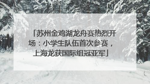 苏州金鸡湖龙舟赛热烈开场：小学生队伍首次参赛，上海龙获国际组冠亚军
