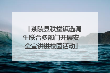 茶陵县秩堂镇选调生联合多部门开展安全宣讲进校园活动