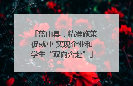蓝山县：精准施策促就业 实现企业和学生“双向奔赴”