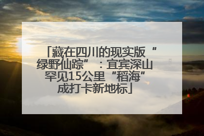 藏在四川的现实版“绿野仙踪”：宜宾深山罕见15公里“稻海”成打卡新地标