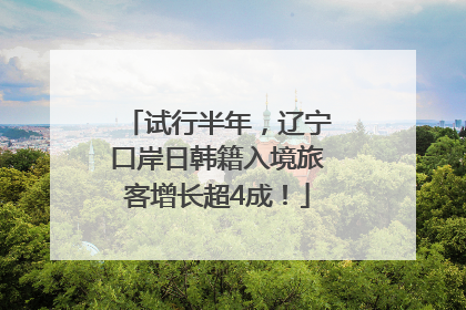 试行半年，辽宁口岸日韩籍入境旅客增长超4成！