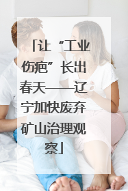 让“工业伤疤”长出春天——辽宁加快废弃矿山治理观察