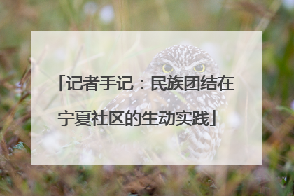 记者手记：民族团结在宁夏社区的生动实践