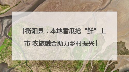衡阳县：本地香瓜抢“鲜”上市 农旅融合助力乡村振兴