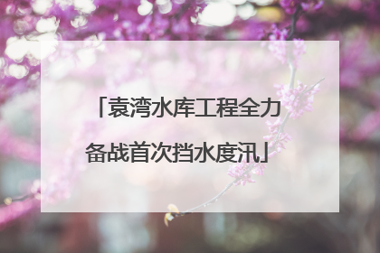 袁湾水库工程全力备战首次挡水度汛
