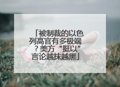 被制裁的以色列高官有多极端？美方“挺以”言论越抹越黑
