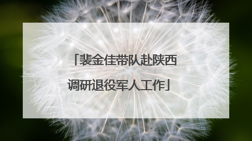 裴金佳带队赴陕西调研退役军人工作