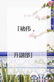 褚伟，升副部