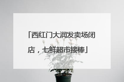 西红门大润发卖场闭店，七鲜超市接棒
