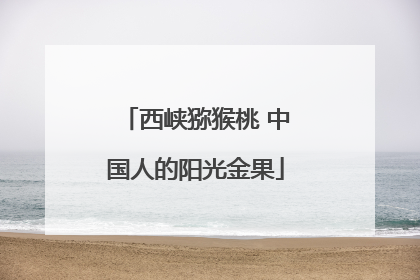 西峡猕猴桃 中国人的阳光金果