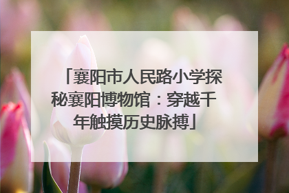 襄阳市人民路小学探秘襄阳博物馆：穿越千年触摸历史脉搏