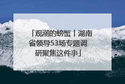 观潮的螃蟹丨湖南省领导53场专题调研聚焦这件事