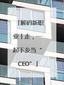 解码新职业丨走，一起下乡当“CEO”
