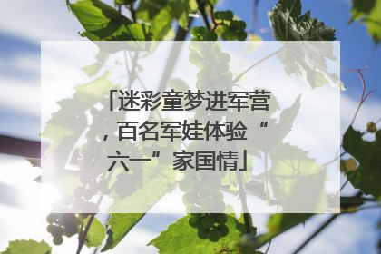 迷彩童梦进军营，百名军娃体验“六一”家国情