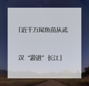 近千万尾鱼苗从武汉“游进”长江