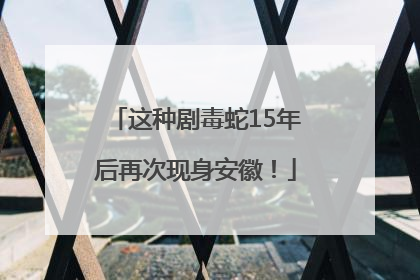 这种剧毒蛇15年后再次现身安徽！