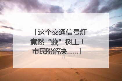 这个交通信号灯竟然“藏”树上！市民盼解决……