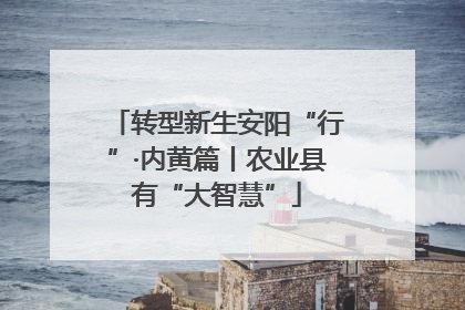 转型新生安阳“行”·内黄篇丨农业县有“大智慧”