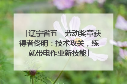 辽宁省五一劳动奖章获得者佟明：技术攻关，练就带电作业新技能