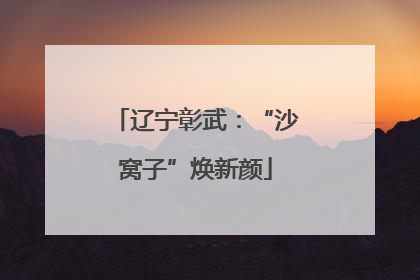 辽宁彰武：“沙窝子”焕新颜