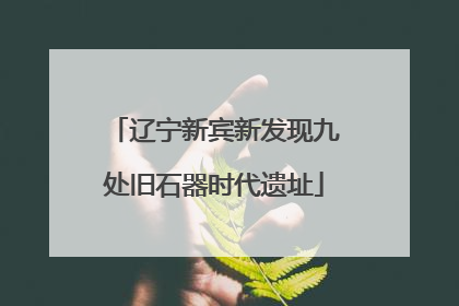 辽宁新宾新发现九处旧石器时代遗址