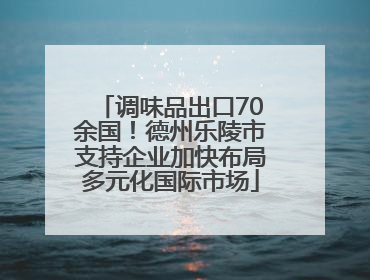 调味品出口70余国！德州乐陵市支持企业加快布局多元化国际市场