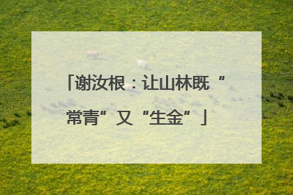 谢汝根：让山林既“常青”又“生金”