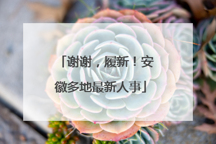 谢谢，履新！安徽多地最新人事