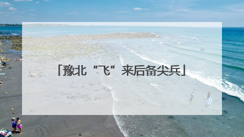 豫北“飞”来后备尖兵