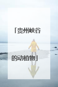 贵州峡谷的动植物