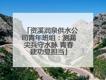 资溪润泉供水公司青年班组：测漏尖兵守水脉 青春建功显担当