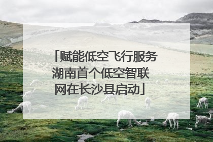 赋能低空飞行服务 湖南首个低空智联网在长沙县启动