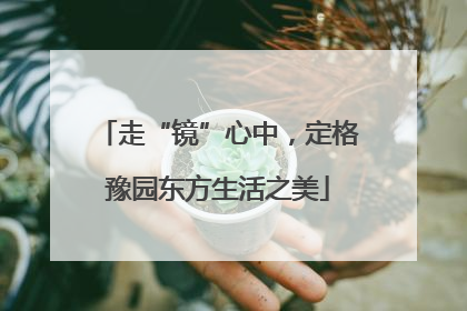 走“镜”心中，定格豫园东方生活之美