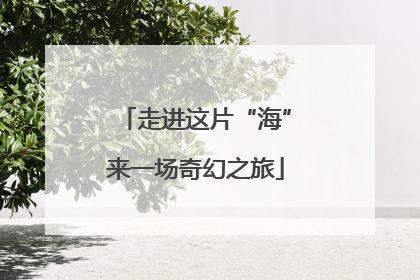走进这片“海”来一场奇幻之旅