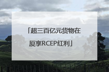 超三百亿元货物在厦享RCEP红利