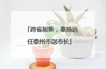 跨省履新，秦扬远任泰州市副市长